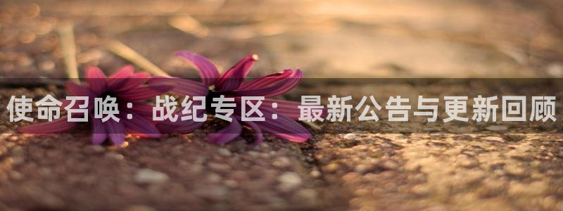 优贝娱乐平台：使命召唤：战纪专区：最新公告与更新回顾