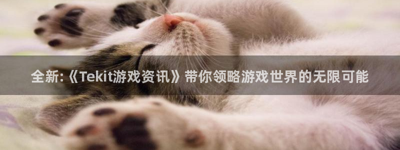 优贝娱乐集团：全新:《Tekit游戏资讯》带你领略游戏世界的