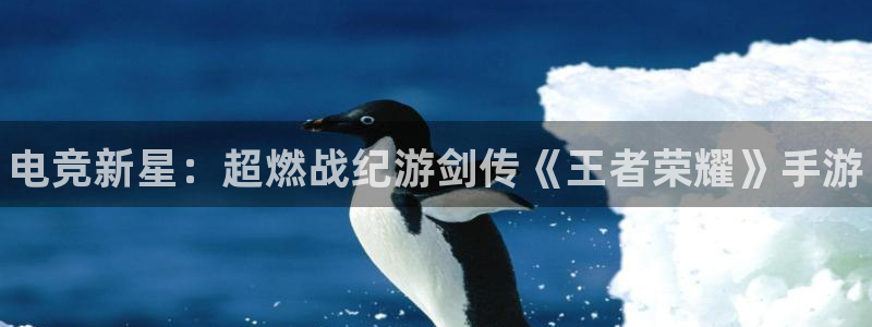 优贝娱乐app下载|下载地址：电竞新星：超燃战纪游剑传《王者