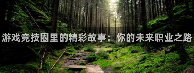 优贝娱乐注册开户：游戏竞技圈里的精彩故事：你的未来职业之路