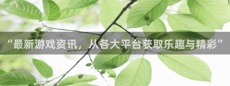优贝娱乐平台登录入口：“最新游戏资讯，从各大平台获取乐趣与精