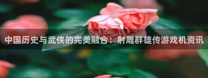 优贝娱乐注册地址：中国历史与武侠的完美融合：射雕群雄传游戏机