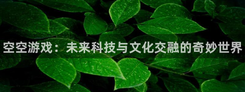 优贝娱乐平台：空空游戏：未来科技与文化交融的奇妙世界