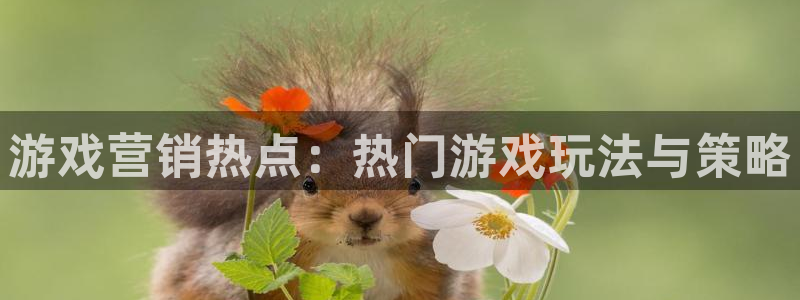优贝娱乐平台官网入口：游戏营销热点：热门游戏玩法与策略