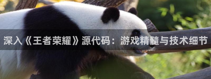 优贝娱乐的意思：深入《王者荣耀》源代码：游戏精髓与技术细节