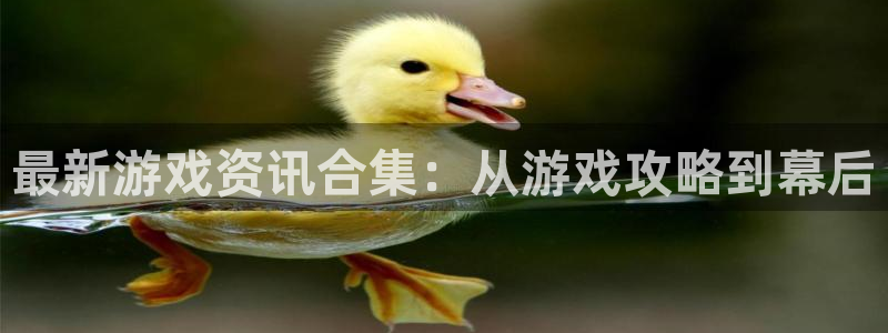 沐春优贝娱乐：最新游戏资讯合集：从游戏攻略到幕后