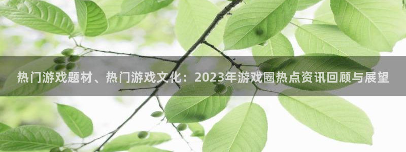 优贝娱乐注册服务条款：热门游戏题材、热门游戏文化：2023年