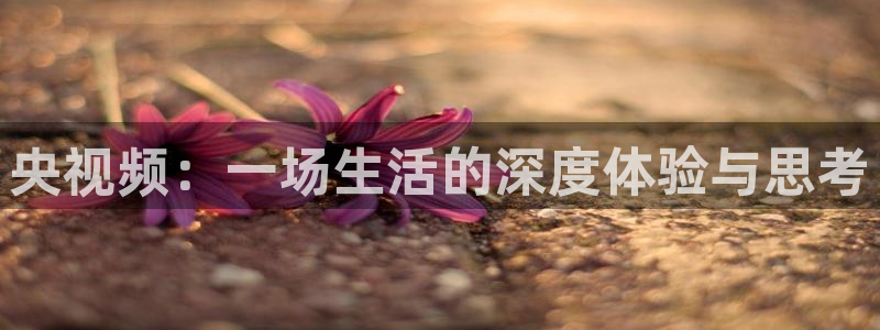 新球体育直播：央视频：一场生活的深度体验与思考