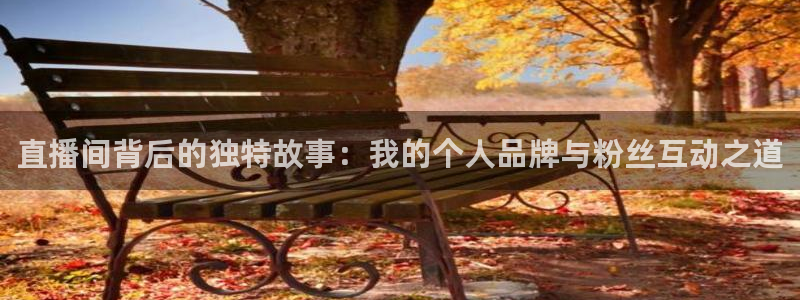 新球体育篮球比分：直播间背后的独特故事：我的个人品牌与粉丝互动之道